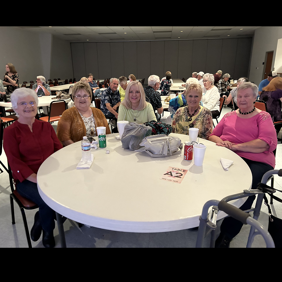 The Backstreet Cruisers VFW Post 3838